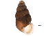  ( - BIOUG27665-H03)  @14 [ ] CreativeCommons - Attribution (2016) CBG Photography Group Centre for Biodiversity Genomics