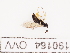  ( - 190164_OVV)  @11 [ ] by-nc-sa (2021) Unspecified Norwegian Institute of Bioeconomy Research
