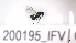 ( - 200195_IFV)  @11 [ ] by-nc-sa (2023) Unspecified Tromsoe University Museum