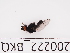  ( - 200222_BKQ)  @11 [ ] by-nc-sa (2021) Unspecified Norwegian Institute of Bioeconomy Research