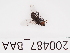  ( - 200487_BAA)  @11 [ ] by-nc-sa (2021) Unspecified Norwegian Institute of Bioeconomy Research