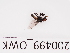  ( - 200499_OWK)  @11 [ ] by-nc-sa (2021) Unspecified Norwegian Institute of Bioeconomy Research