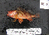  ( - RE-21)  @12 [ ] No Rights Reserved  Unspecified Unspecified