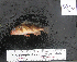 ( - RE-22)  @12 [ ] No Rights Reserved  Unspecified Unspecified