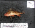  ( - RE-3)  @12 [ ] No Rights Reserved  Unspecified Unspecified