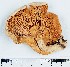  ( - GAJ.11439)  @11 [ ] by-nc (2019) Marko Mutanen University of Oulu