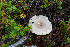  ( - GAJ.14984)  @11 [ ] c (2022) Tapio Kekki University of Oulu