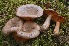  ( - GAJ.15214)  @11 [ ] c (2017) Tero Taipale University of Oulu