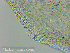  ( - GAJ.15184)  @11 [ ] c (2022) Henri Koskinen University of Oulu