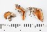  ( - GAJ.16950)  @11 [ ] by-nc (2024) Saara Salmela University of Oulu