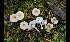  ( - GAJ.16991)  @11 [ ] by-nc (2024) Tapio Kekki Unspecified