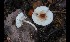  ( - GAJ.17001)  @11 [ ] by-nc (2024) Tapio Kekki Unspecified
