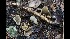  ( - GAJ.17002)  @11 [ ] by-nc (2023) Tapio Kekki Unspecified