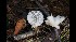  ( - GAJ.17009)  @11 [ ] by-nc (2023) Tapio Kekki Unspecified