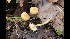  ( - GAJ.17015)  @11 [ ] by-nc (2023) Tapio Kekki Unspecified