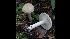  ( - GAJ.17022)  @11 [ ] by-nc (2023) Tapio Kekki Unspecified