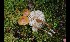 ( - GAJ.17031)  @11 [ ] by-nc (2024) Tapio Kekki Unspecified