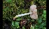  ( - GAJ.17032)  @11 [ ] by-nc (2024) Tapio Kekki Unspecified