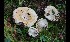  ( - GAJ.17046)  @11 [ ] by-nc (2024) Tapio Kekki Unspecified