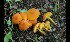  ( - GAJ.17064)  @11 [ ] by-nc (2024) Tapio Kekki Unspecified