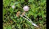  ( - GAJ.17077)  @11 [ ] by-nc (2024) Tapio Kekki Unspecified