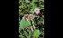  ( - GAJ.17078)  @11 [ ] by-nc (2024) Tapio Kekki Unspecified