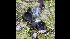  ( - GAJ.17080)  @11 [ ] by-nc (2023) Tapio Kekki Unspecified