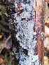  ( - GAJ.17925)  @11 [ ] by-nc (2023) Seppo Huhmarniemi Unspecified