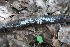  ( - GAJ.18918)  @11 [ ] by-nc (2024) Matti Kulju University of Oulu