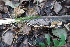  ( - GAJ.19164)  @11 [ ] by-nc (2024) Matti Kulju University of Oulu