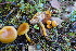  ( - GAJ.19219)  @11 [ ] by-nc (2023) Maarit Vainio Unspecified