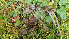  ( - GAJ.19387)  @11 [ ] by-nc (2024) Stefan Jakobsson Unspecified