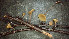  ( - GAJ.19392)  @11 [ ] by-nc (2024) Stefan Jakobsson Unspecified