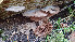  ( - GAJ.19433)  @11 [ ] by-nc (2024) Stefan Jakobsson Unspecified