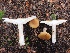  ( - GAJ.19449)  @11 [ ] by-nc (2024) Tuomas P. Hintikka Unspecified