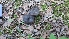  ( - GAJ.19454)  @11 [ ] by-nc (2019) Antti Johannes Soininen Unspecified