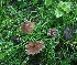  ( - GAJ.19468)  @11 [ ] by-nc (2023) Petri Roponen Unspecified