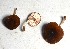  ( - GAJ.19488)  @11 [ ] by-nc (2024) Petri Roponen Unspecified