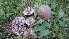  ( - GAJ.19513)  @11 [ ] by-nc (2024) Laura Tarvainen Unspecified