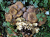  ( - GAJ.19558)  @11 [ ] by-nc (2024) Jarkko Korhonen Unspecified