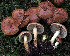  ( - GAJ.19571)  @11 [ ] by-nc (2024) Jarkko Korhonen Unspecified