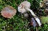  ( - GAJ.19584)  @11 [ ] by-nc (2024) Tapio Kekki Unspecified