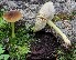  ( - GAJ.19587)  @11 [ ] by-nc (2024) Tapio Kekki Unspecified