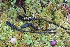  ( - GAJ.19600)  @11 [ ] by-nc (2024) Tapio Kekki Unspecified
