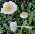 ( - GAJ.19614)  @11 [ ] by-nc (2024) Tapio Kekki Unspecified