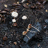  ( - GAJ.19619)  @11 [ ] by-nc (2024) Tapio Kekki Unspecified