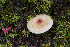  ( - GAJ.19638)  @11 [ ] by-nc (2023) Tapio Kekki Unspecified