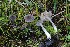  ( - GAJ.19689)  @11 [ ] by-nc (2024) Tapio Kekki Unspecified