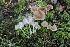  ( - GAJ.19705)  @11 [ ] by-nc (2024) Tapio Kekki Unspecified