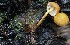  ( - GAJ.19751)  @11 [ ] by-nc (2017) Tapio Kekki Unspecified